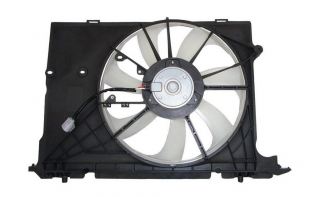 AURIS FAN DAVLUMBAZI 2008